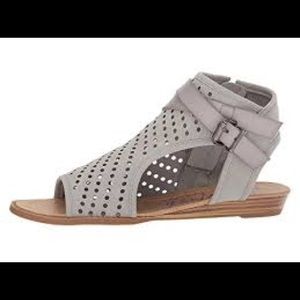 New blow fish Balla– B in ash sport